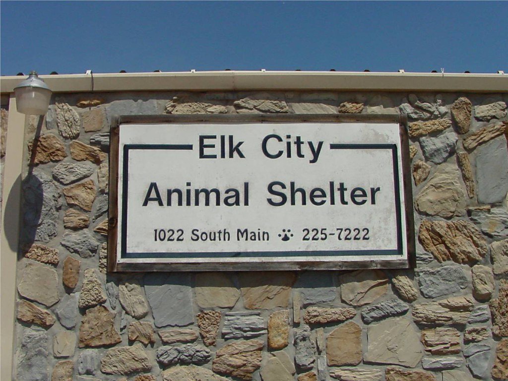 Shelter : Furry Cat | Camino Venijobre 163 | 38738 La Sabina