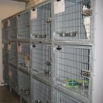 Shelter : Furry Cat | Camino Venijobre 163 | 38738 La Sabina