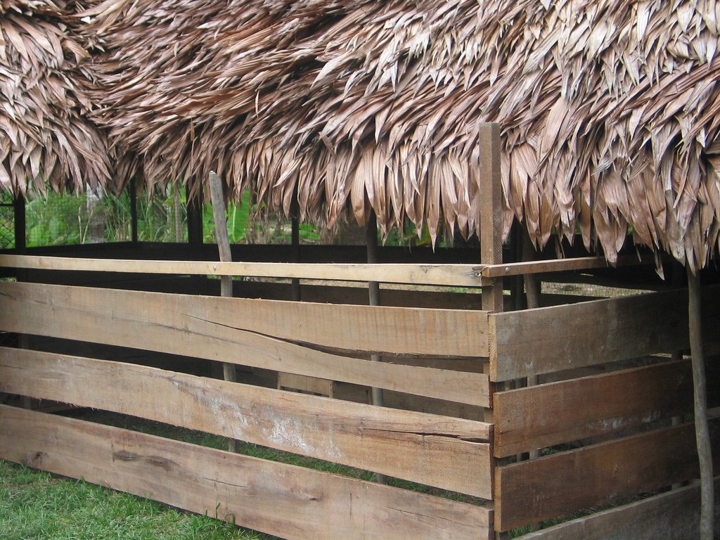 Shelter : Furry Cat | Camino Venijobre 163 | 38738 La Sabina