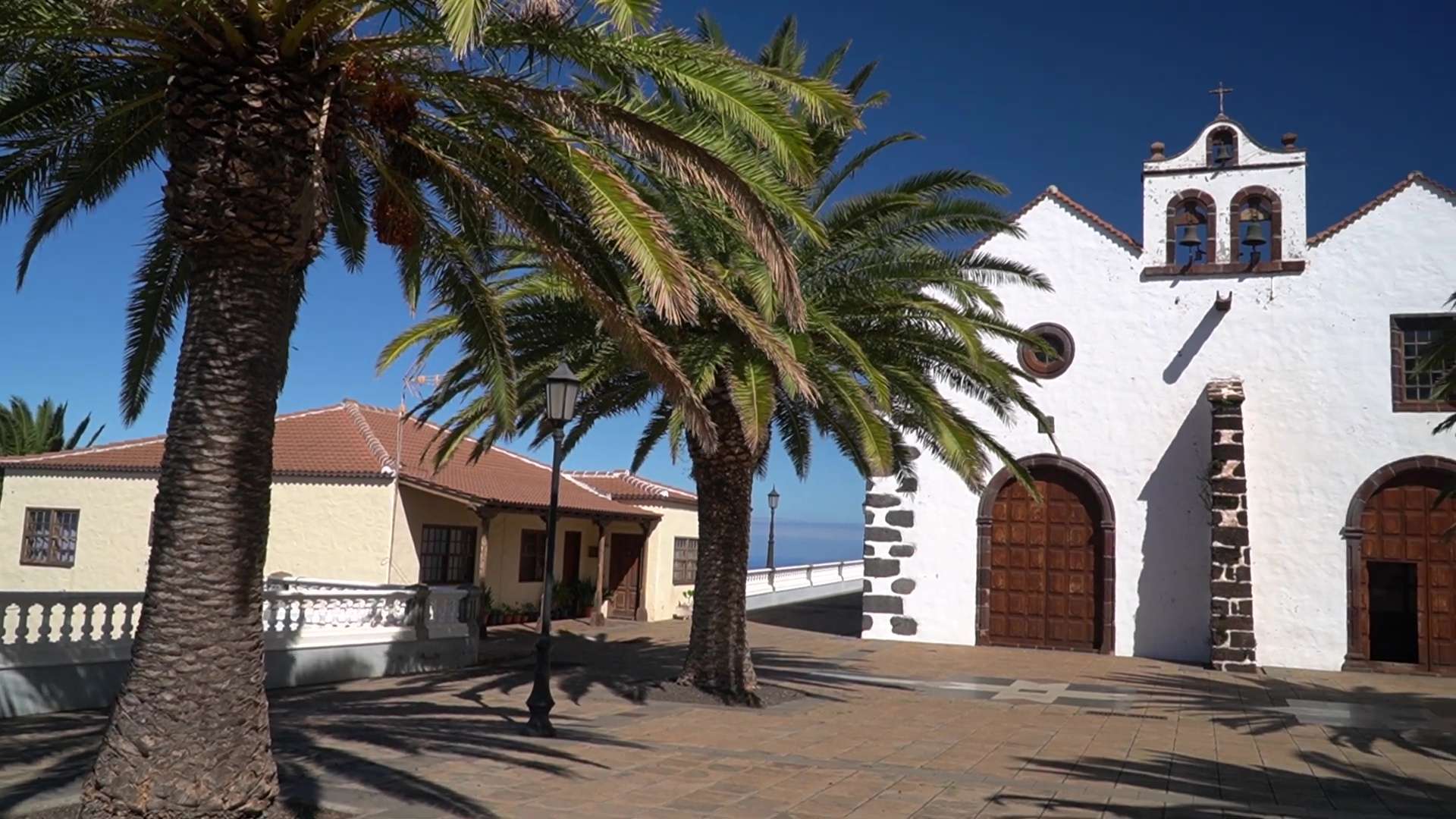 Vet : Clinic Dr Doolitte | Animal Help 15 | 78781 La Palma