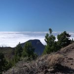 Vet : Clinic Dr Doolitte | Animal Help 15 | 78781 La Palma