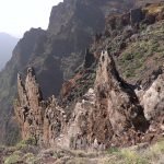 Vet : Clinic Dr Doolitte | Animal Help 15 | 78781 La Palma