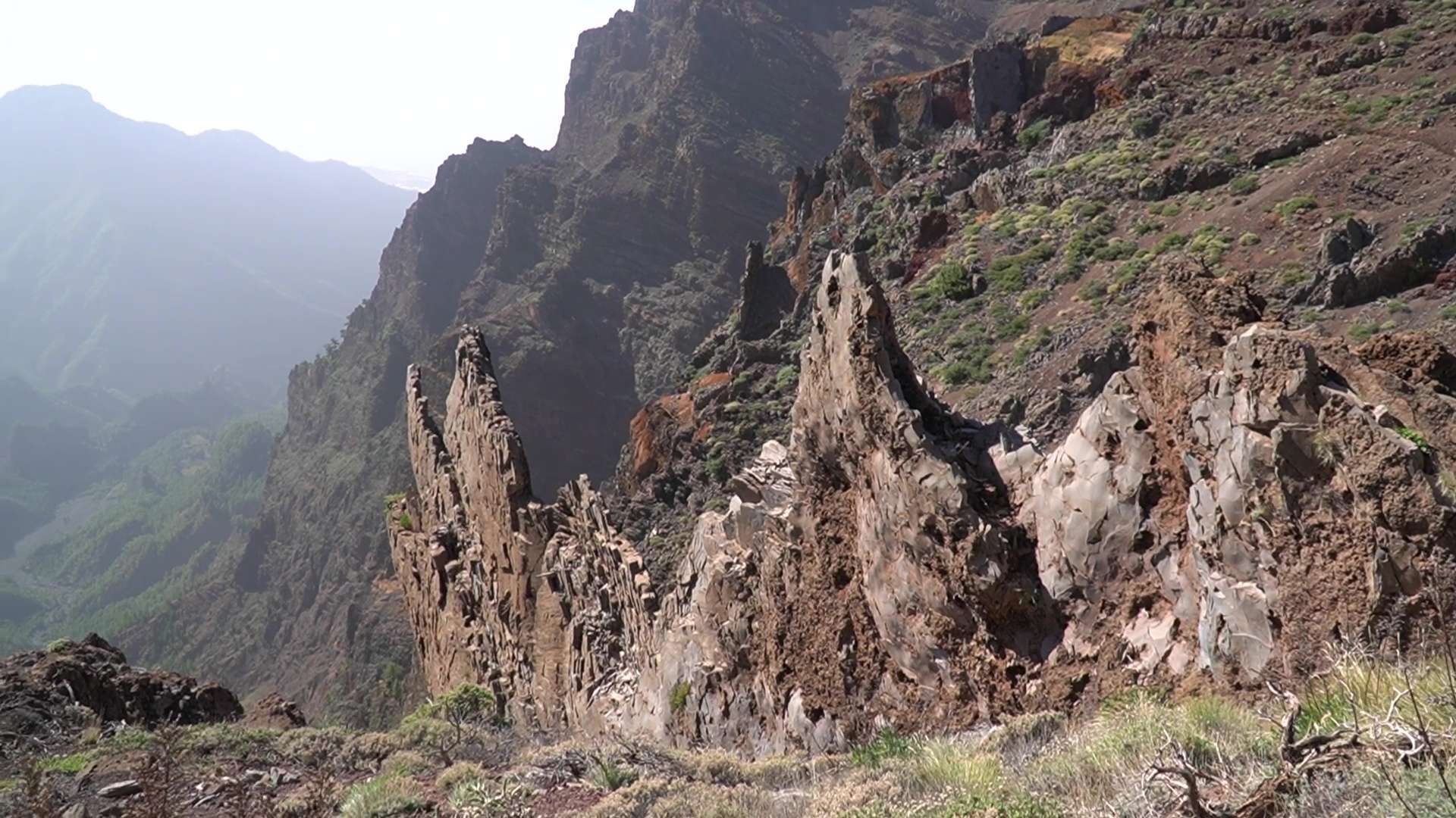 Vet : Clinic Dr Doolitte | Animal Help 15 | 78781 La Palma