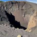 Vet : Clinic Dr Doolitte | Animal Help 15 | 78781 La Palma