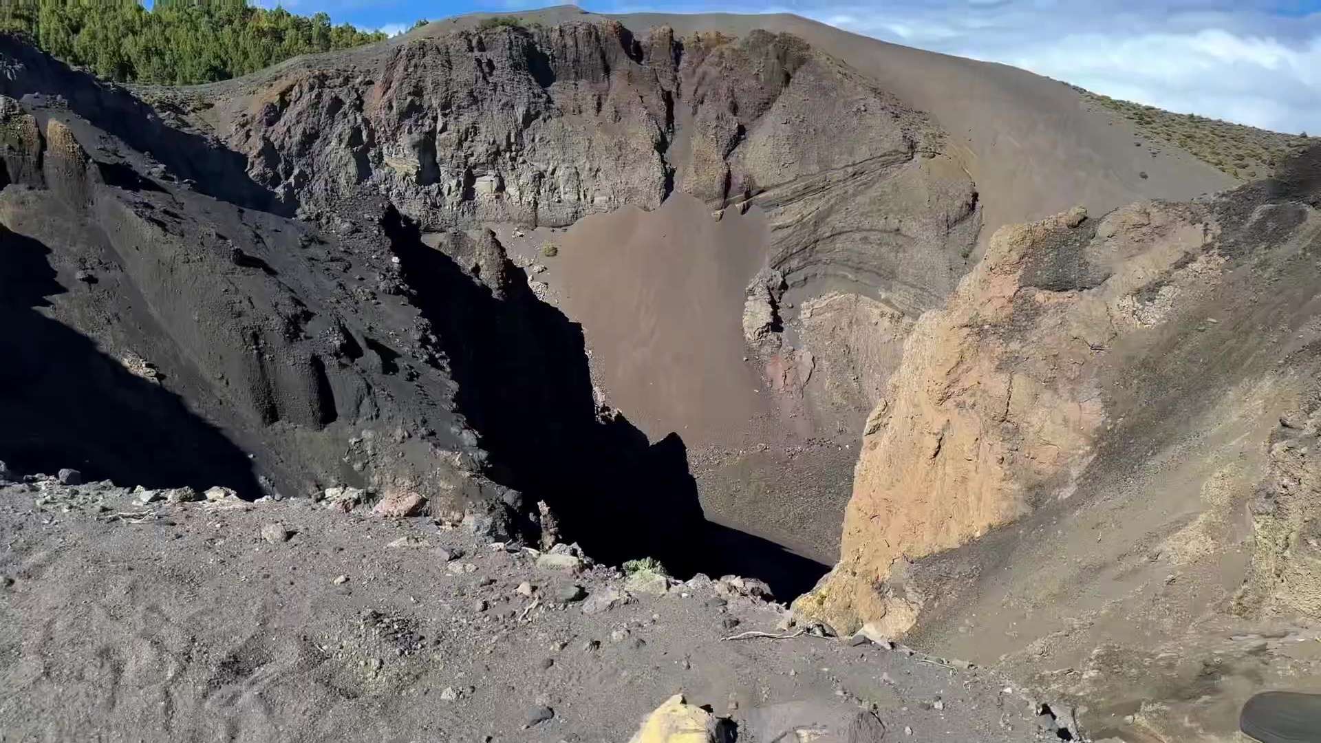 Vet : Clinic Dr Doolitte | Animal Help 15 | 78781 La Palma