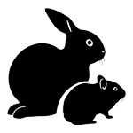 Hase : Clinic Dr Doolitte | Animal Help 15 | 78781 La Palma