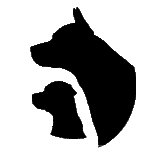 Hund : Clinic Dr Doolitte | Animal Help 15 | 78781 La Palma