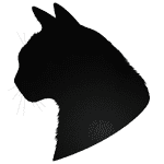 katze : Furry Cat | Camino Venijobre 163 | 38738 La Sabina