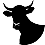 Kuh : Clinic Dr Doolitte | Animal Help 15 | 78781 La Palma