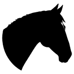 Pferd : Clinic Dr Doolitte | Animal Help 15 | 78781 La Palma